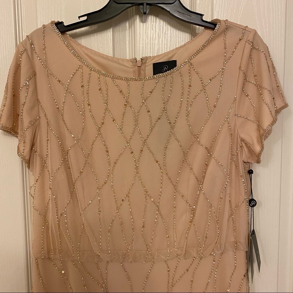 Adrianna Papell Embellished Gown in Champagne Sand - Picture 8 of 14